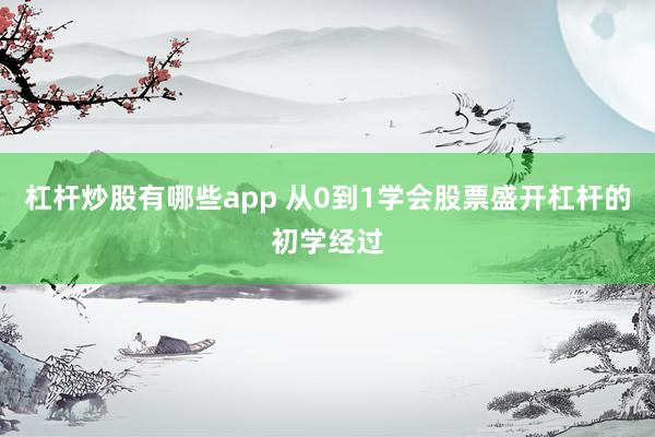杠杆炒股有哪些app 从0到1学会股票盛开杠杆的初学经过